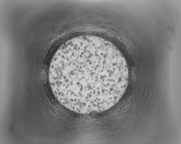 X0000115331493200911301517