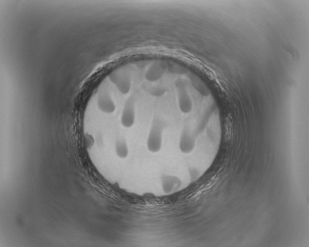 X0000115331494200911301517