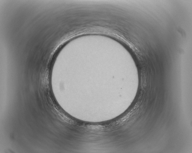 X0000115331498200911301517