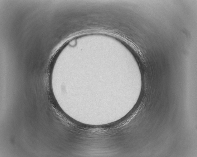 X0000115331502200911301517