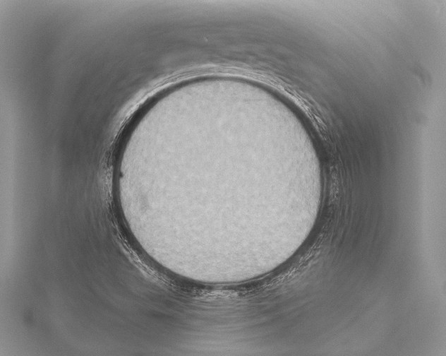 X0000115331503200911301517