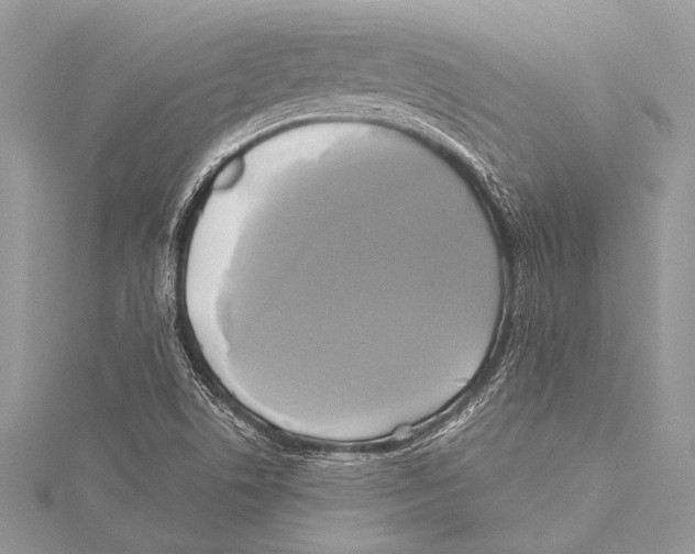 X0000115331506200911301517