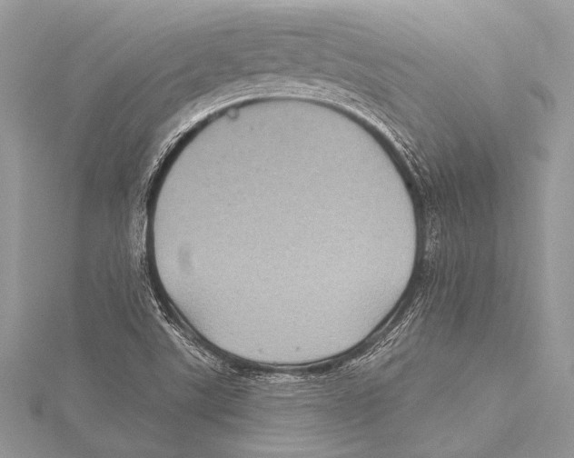 X0000115331507200911301517