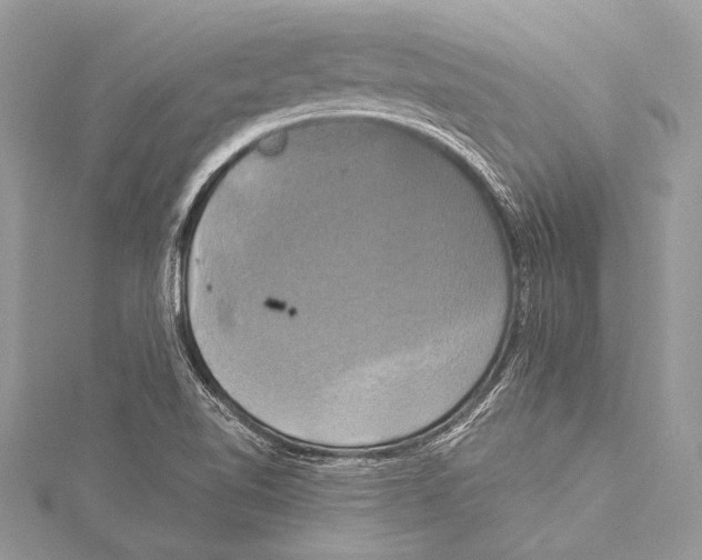 X0000115331510200911301517