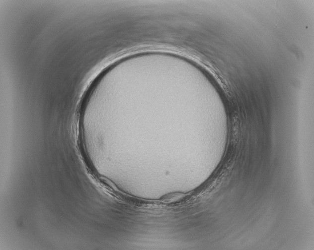 X0000115331511200911301517