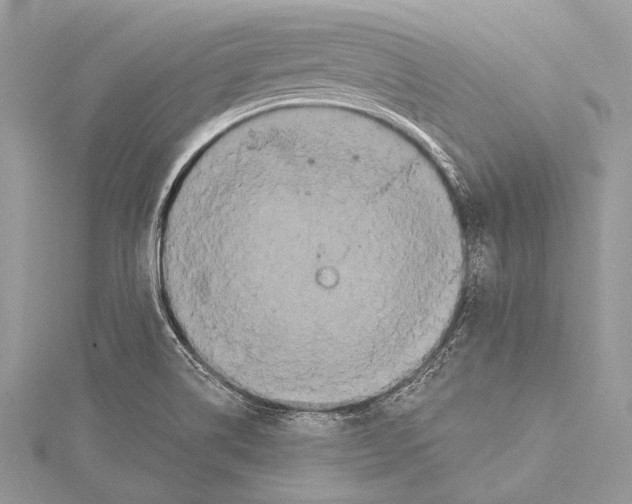 X0000115331514200911301517