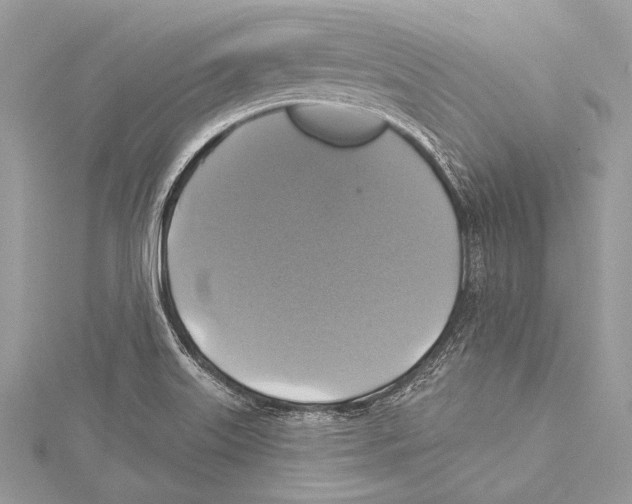 X0000115331515200911301517