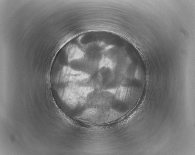 X0000115331521200911301517