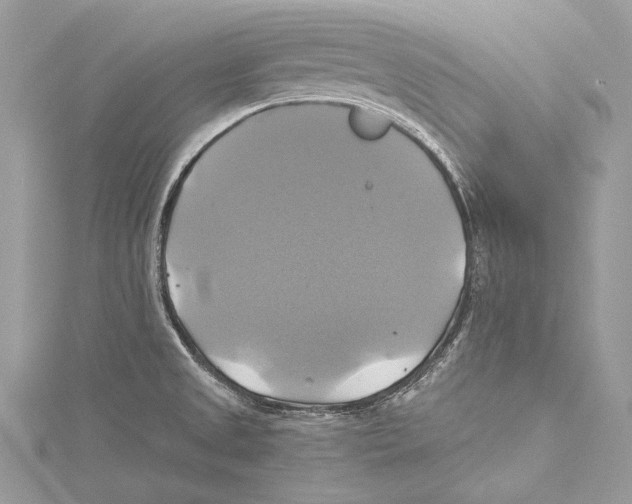 X0000115331525200911301517