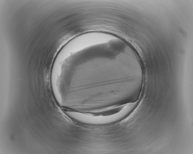 X0000115331529200911301517