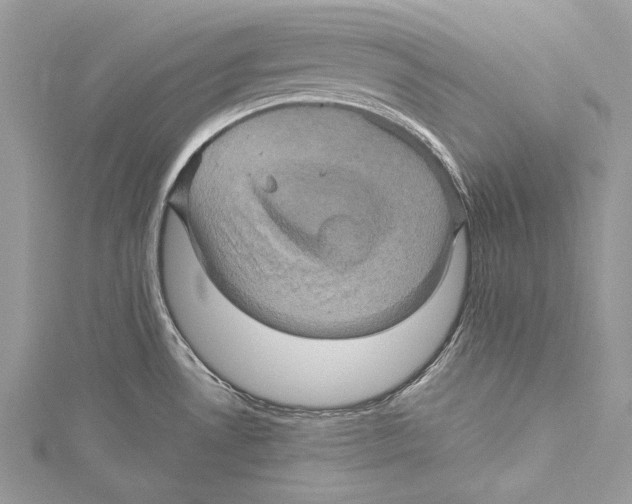 X0000115331530200911301517