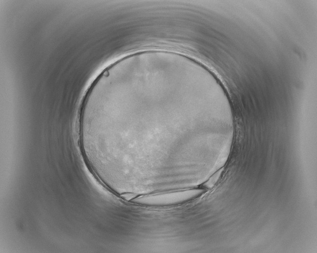 X0000115331531200911301517