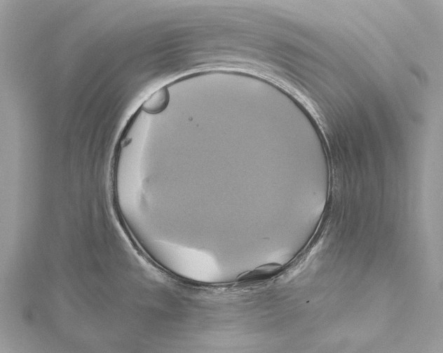 X0000115331533200911301517