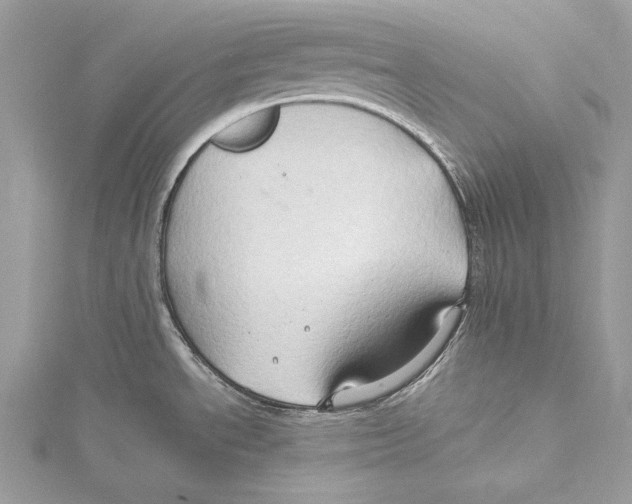 X0000115331534200911301517