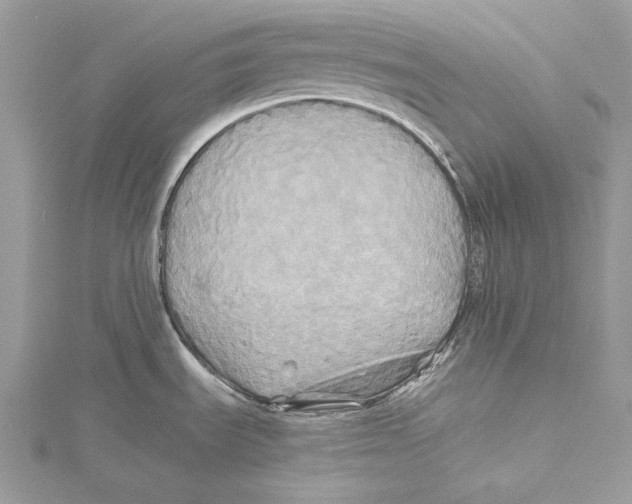 X0000115331535200911301517