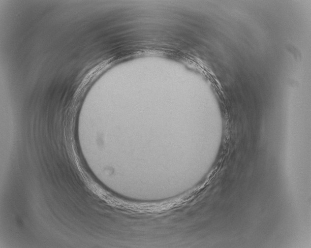 X0000115330001200912141229