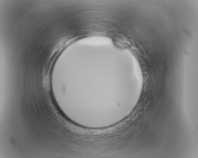 X0000115330002200912141229