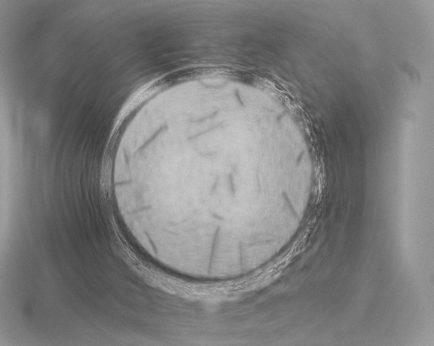 X0000115330004200912141228