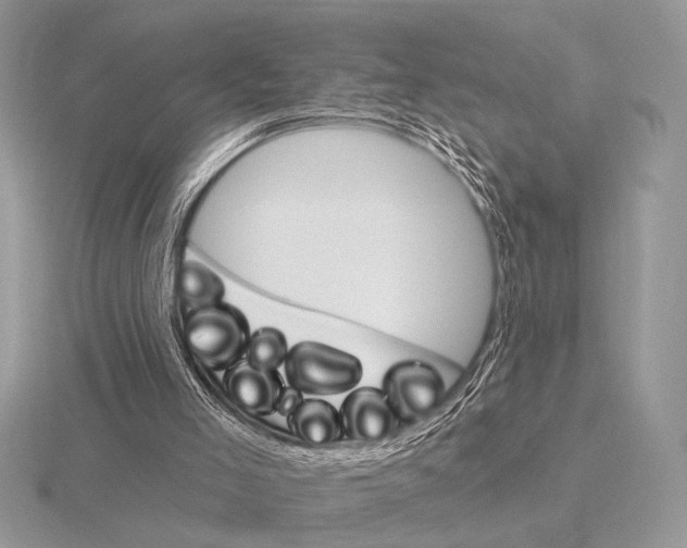 X0000115330005200912141228