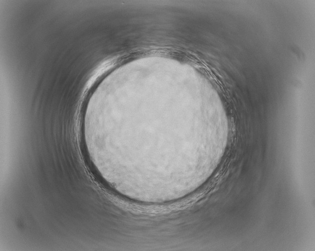 X0000115330006200912141228