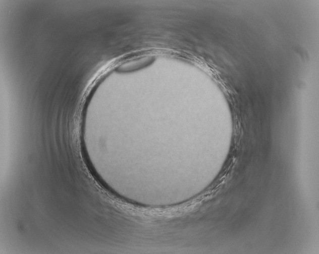 X0000115330007200912141228