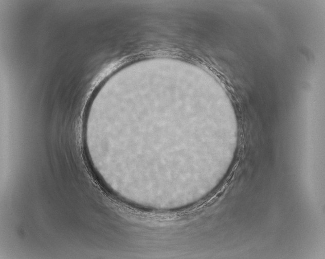 X0000115330008200912141228