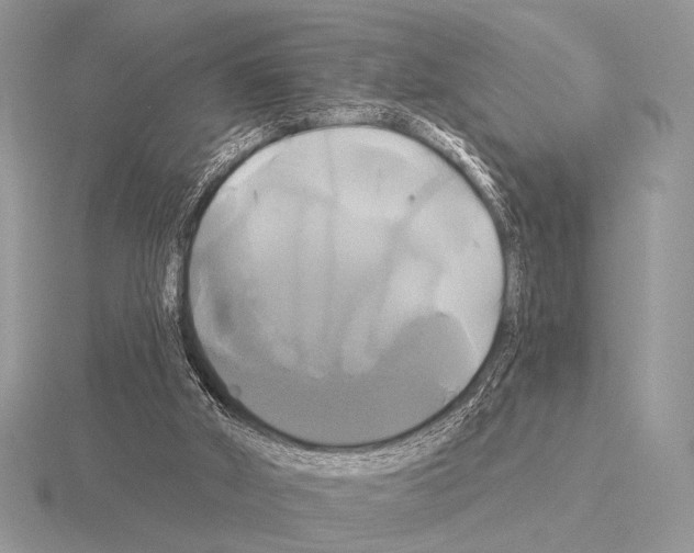 X0000115330010200912141228