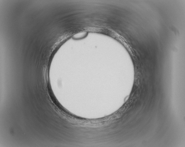 X0000115330011200912141228