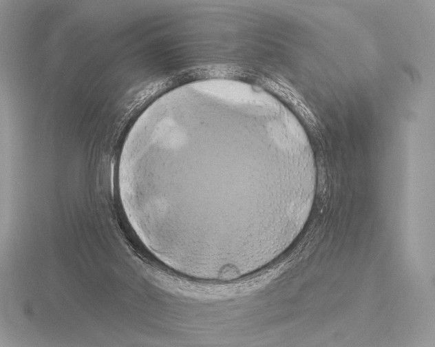 X0000115330014200912141228