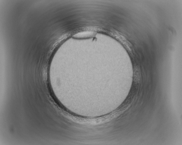 X0000115330015200912141228