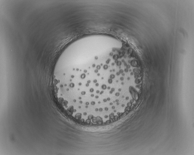 X0000115330017200912141228