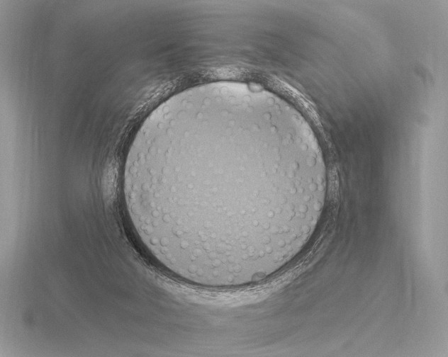 X0000115330018200912141228