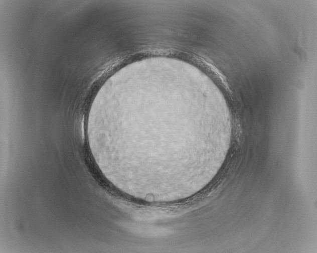 X0000115330020200912141228