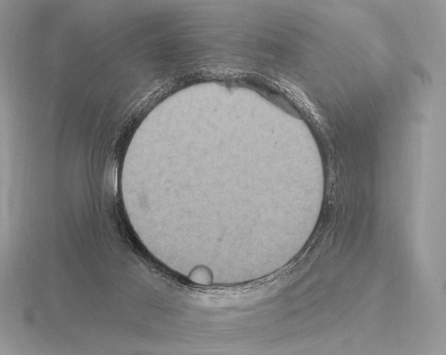 X0000115330021200912141228