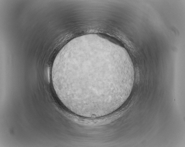 X0000115330022200912141228