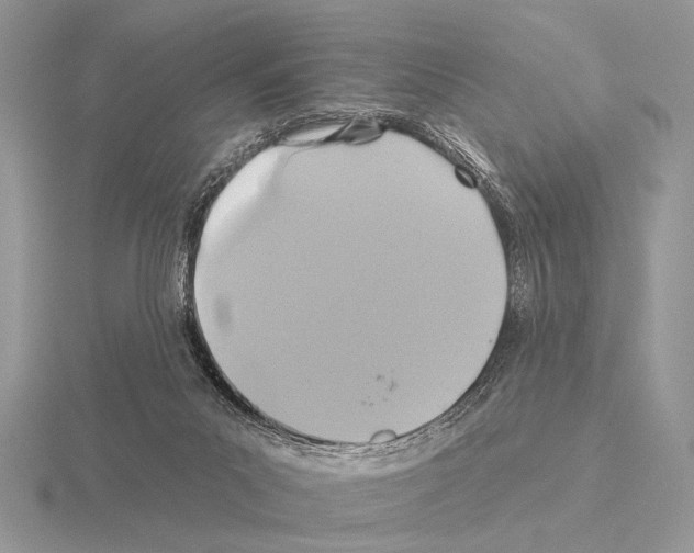 X0000115330023200912141228