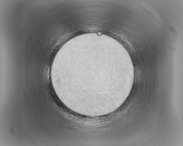 X0000115330024200912141228