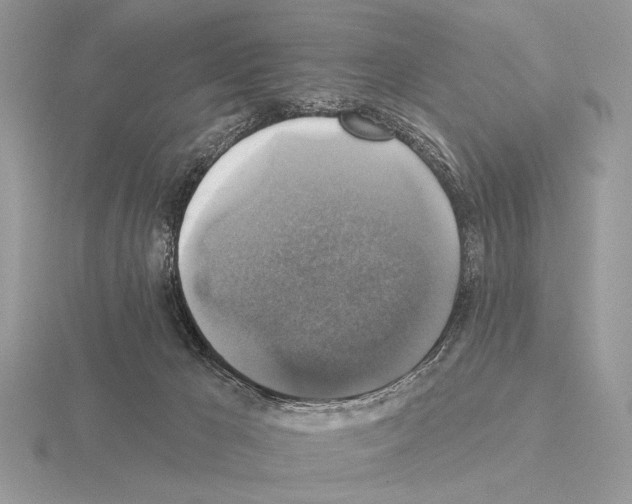 X0000115330029200912141228