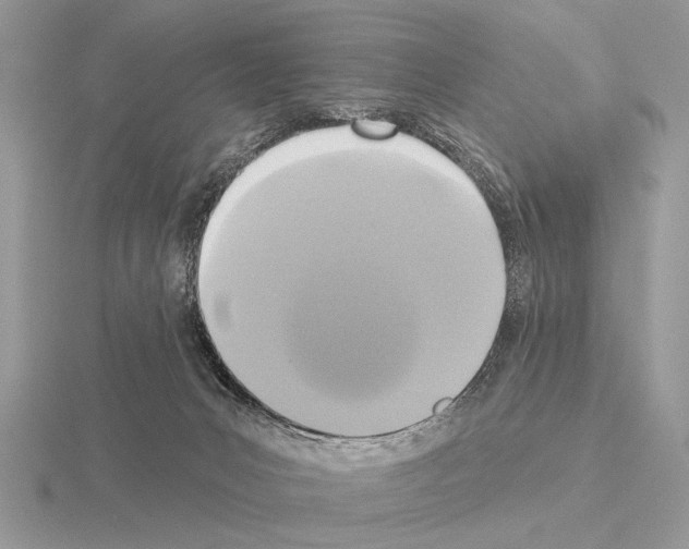 X0000115330031200912141228