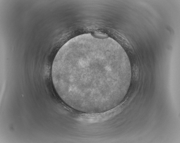 X0000115330033200912141228