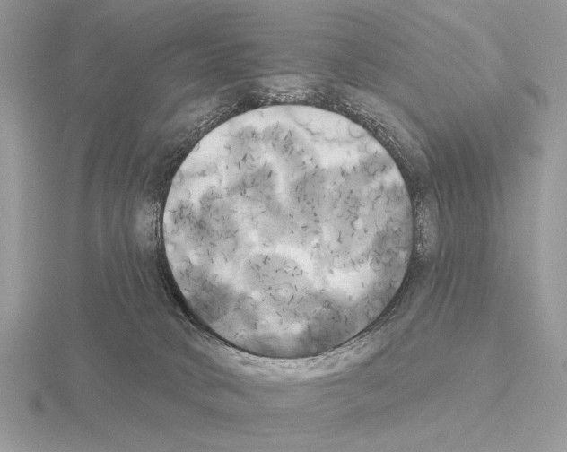 X0000115330034200912141228