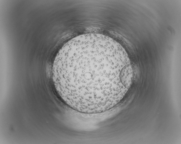 X0000115330038200912141228