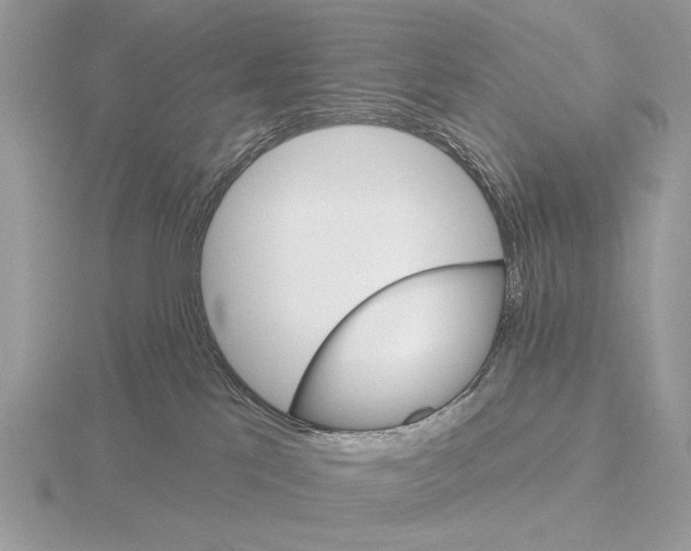 X0000115330041200912141228