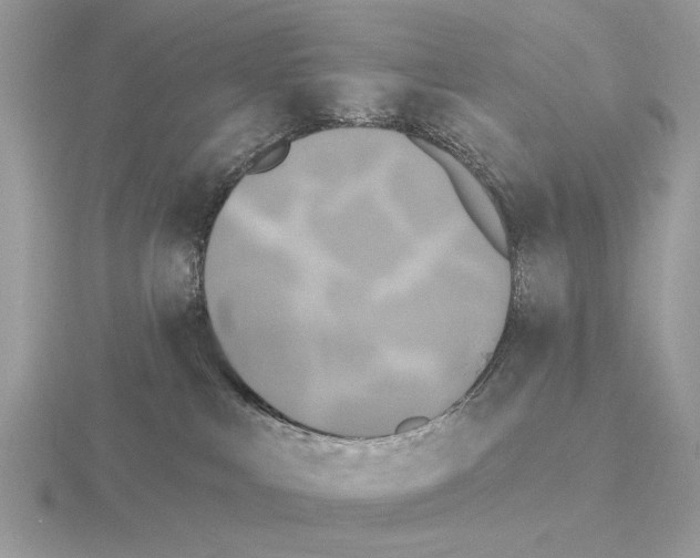 X0000115330043200912141228