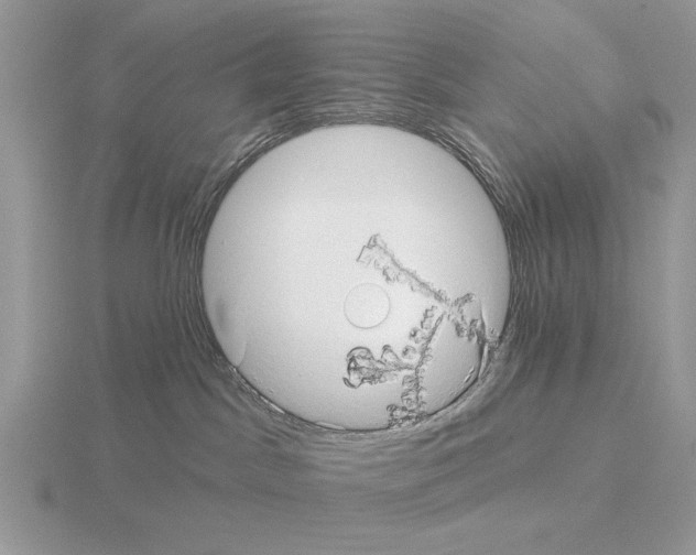 X0000115330045200912141228