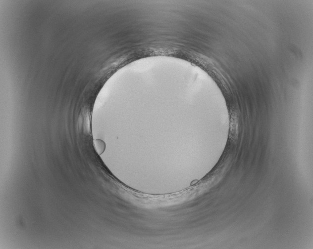 X0000115330046200912141228