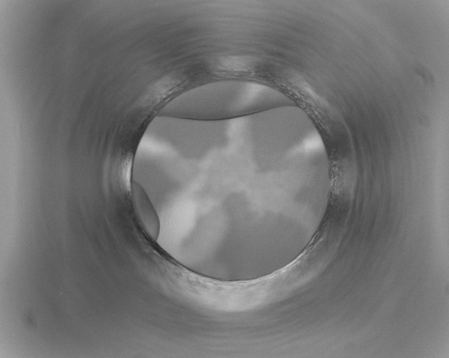 X0000115330047200912141228