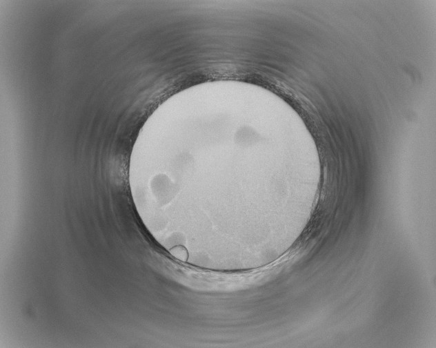 X0000115330048200912141228