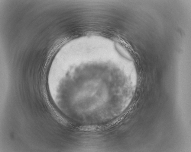 X0000115330049200912141227