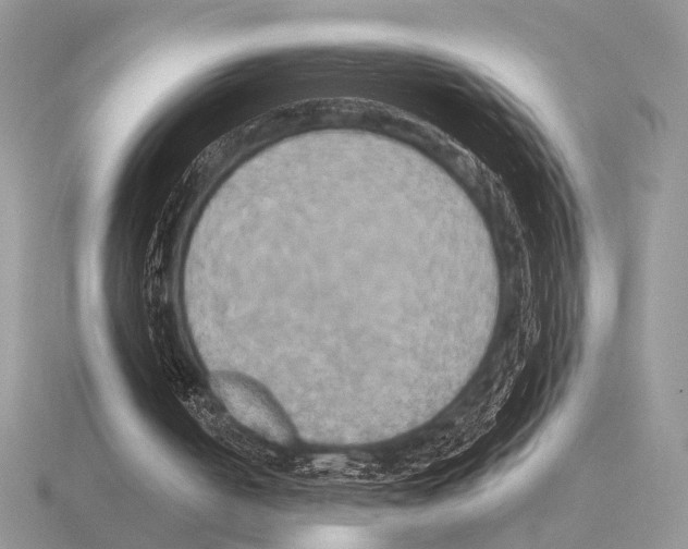 X0000115330050200912141227